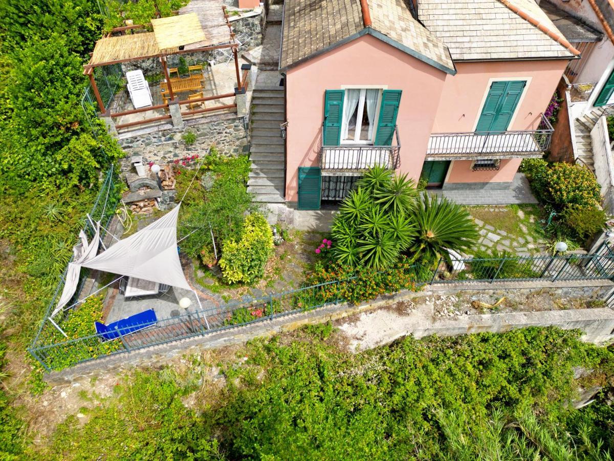 Casa Glicine Sul Mare Apartment Levanto Ngoại thất bức ảnh